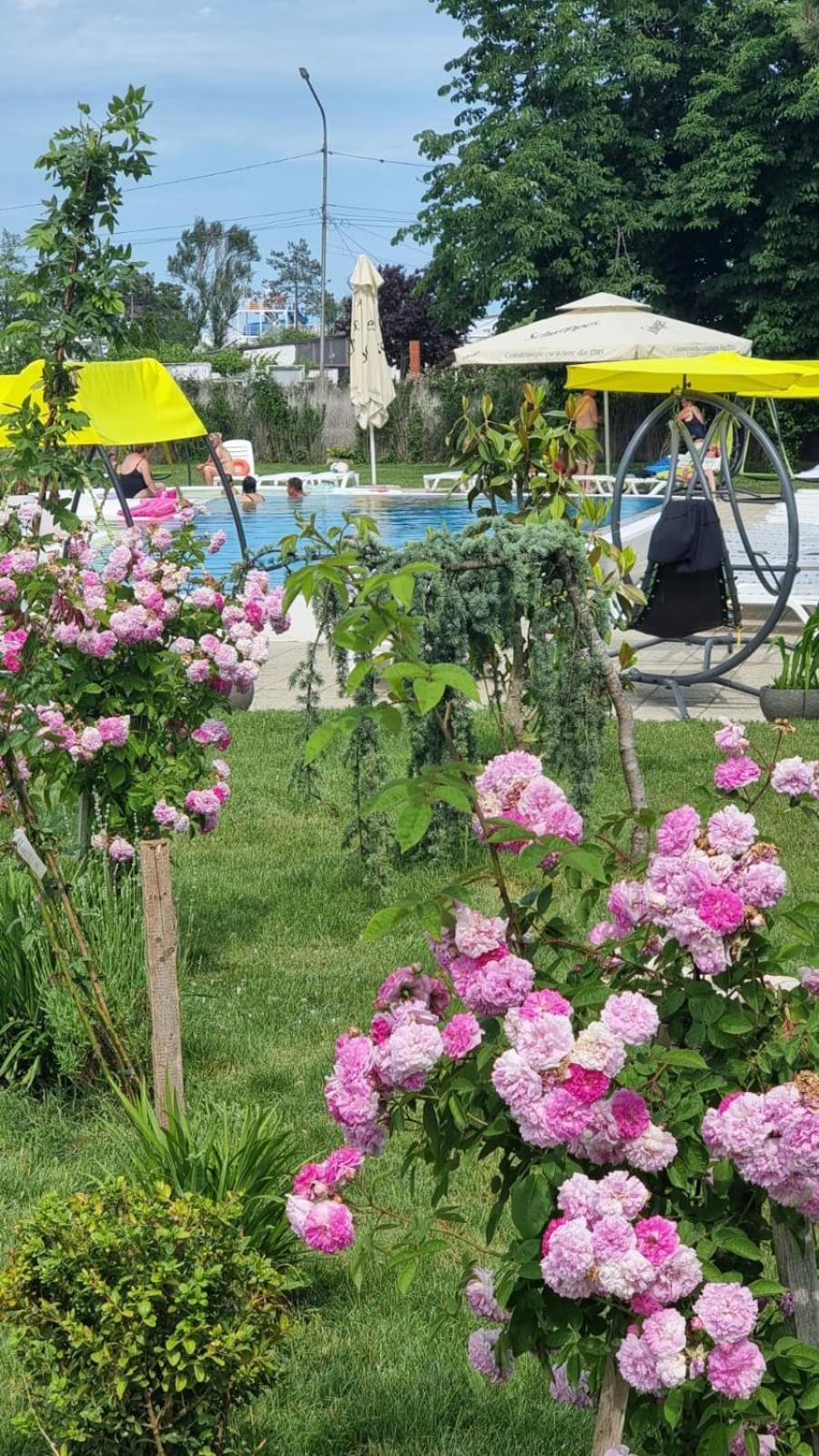 Hotel Iulia Resort Венус Екстериор снимка