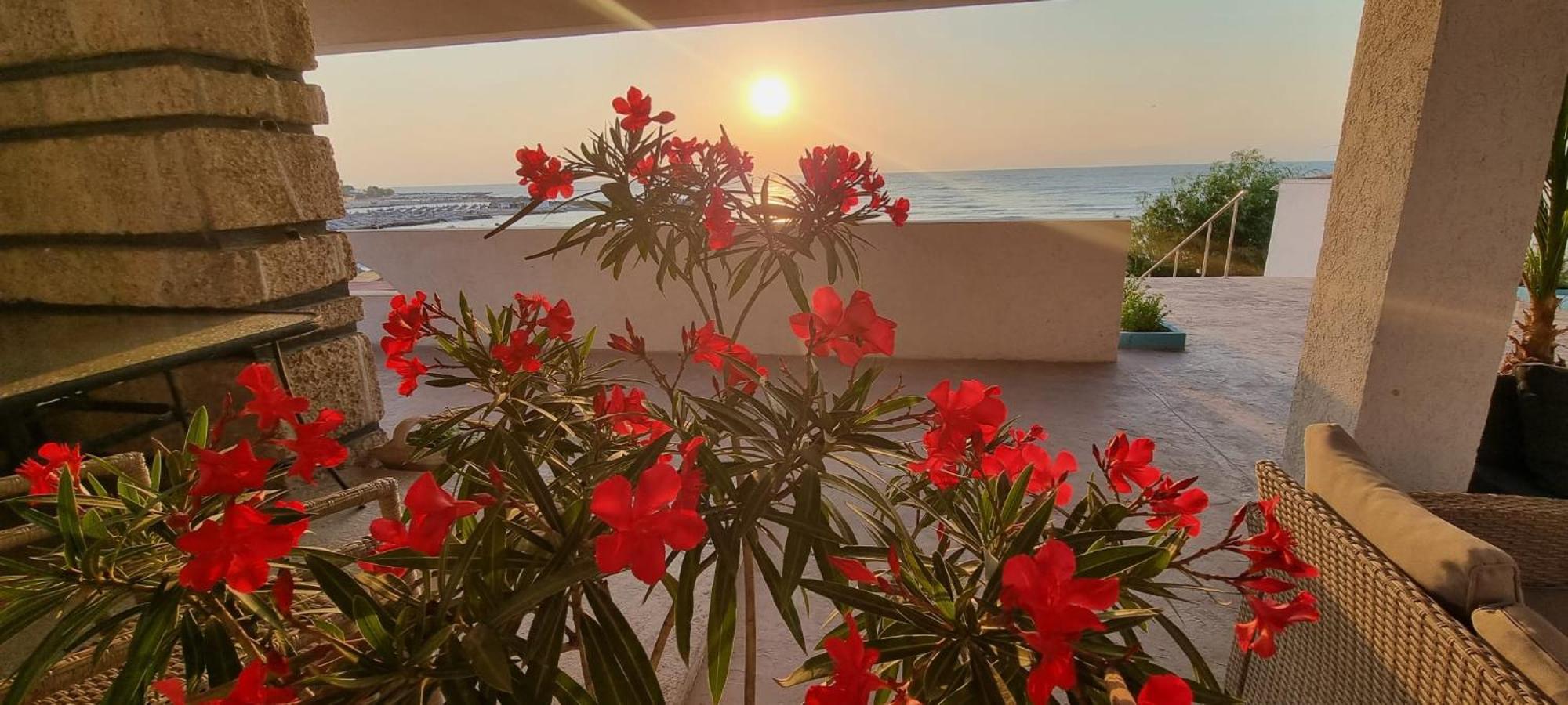 Hotel Iulia Resort Венус Екстериор снимка